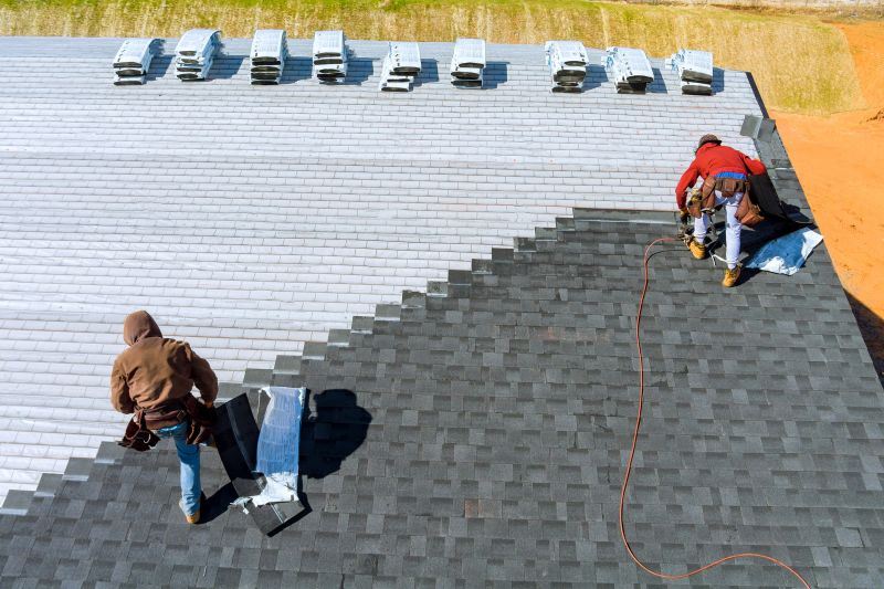 Professional Roof Inspection