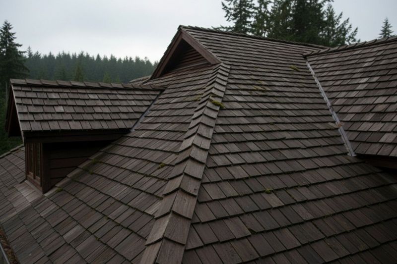 Cedar Roof Replacement