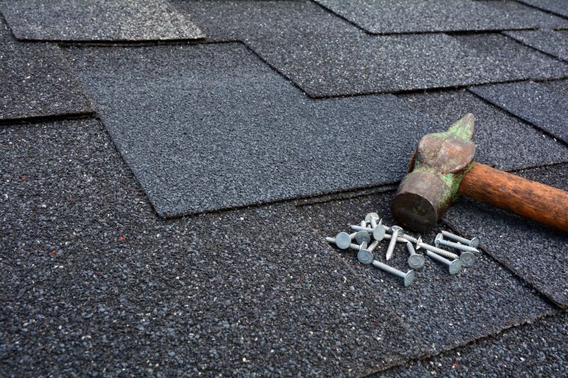 Damaged Roof Repair